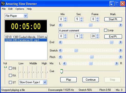 Main panel of the "Amazing Slow Downer"