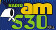 Radio La Voz de las Madres logo