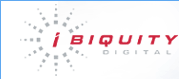 Logo of iBiquity