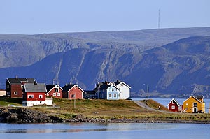 Veines