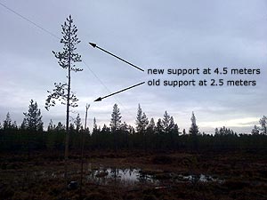 Antennas higher