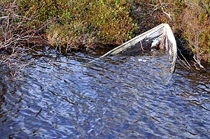 Sunken boat