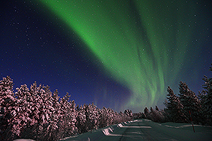 Aurora with moonlight illuminating the roadside
