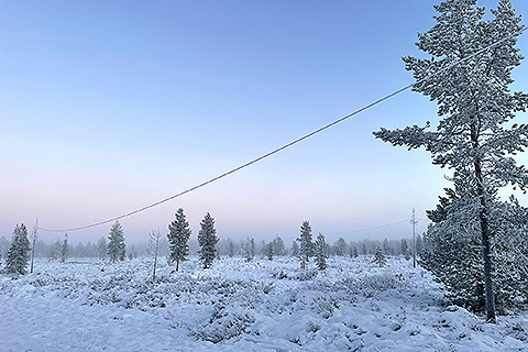 An antenna wire with frost