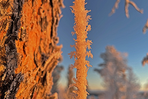 Frost in a grounding wire