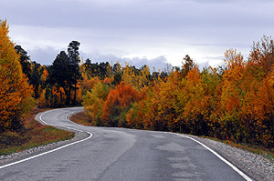 Curvy road, fall colors