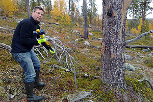 Grounding the 160-degree antenna