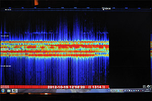 Jaguar screen