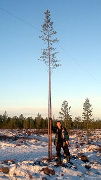 Monster support pole