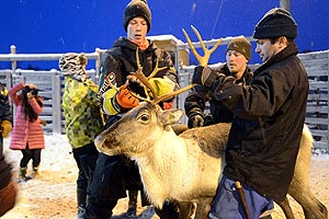 Holding a reindeer