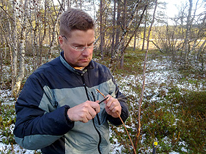 Jim peeling copper to for grounding