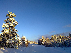 Road to Aihkiniemi