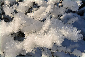 Ice crystals