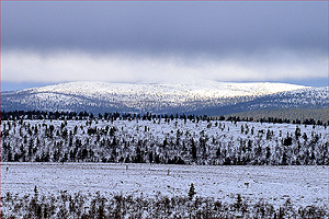 Mountain scene from Kaunispää