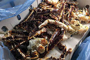 Frozen king crab