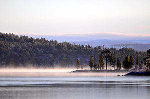 Foggy lake