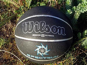 Wilson