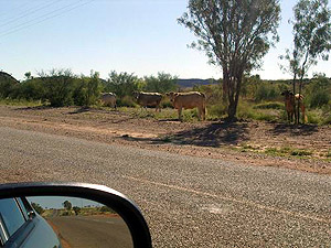 Road troubles