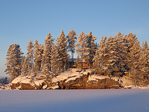 Cabin in Kaamanen