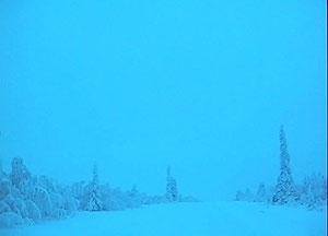 A typical scene at "daylight"
