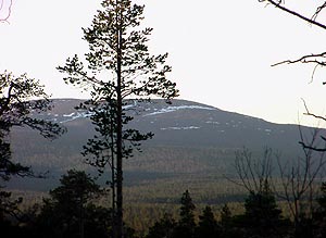 Mountain in Lemmenjoki