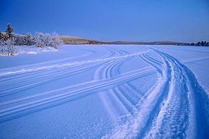 snow mobile tracks