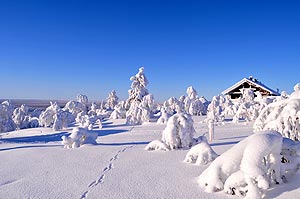 Winter in Lapland