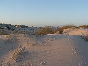 Footprints
