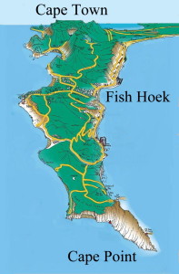 Cape Peninsula