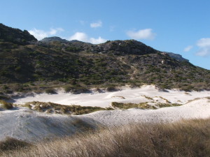Across dunes